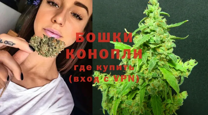 Бошки марихуана Bruce Banner  Чернушка 